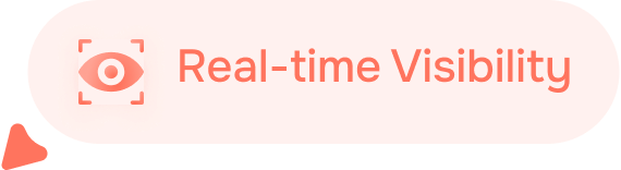 Real-time Visibility